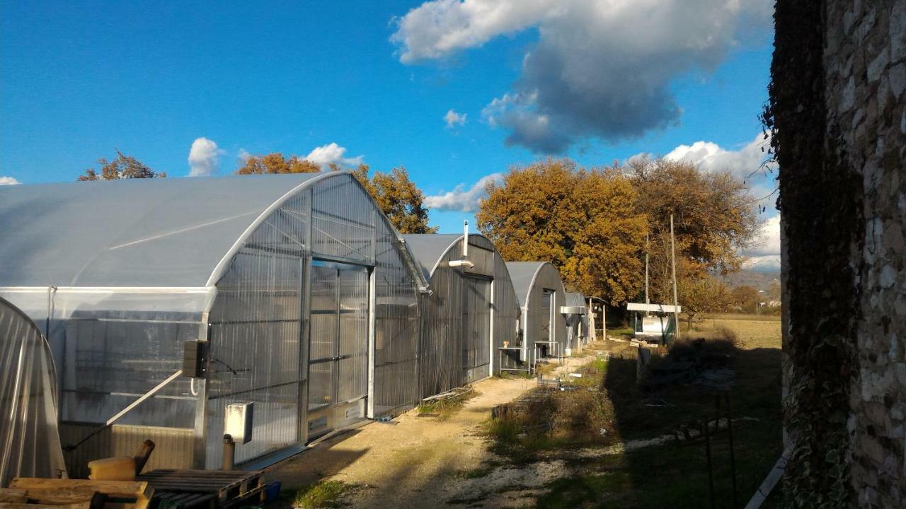 Agriturismo " Le Serre" Spello Dış mekan fotoğraf