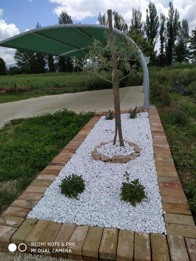 Agriturismo " Le Serre" Spello Dış mekan fotoğraf