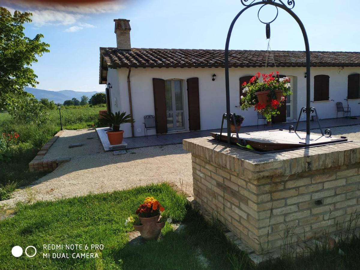 Agriturismo " Le Serre" Spello Dış mekan fotoğraf