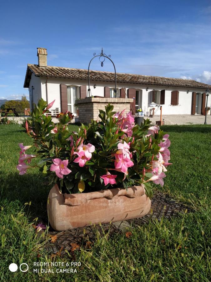 Agriturismo " Le Serre" Spello Dış mekan fotoğraf