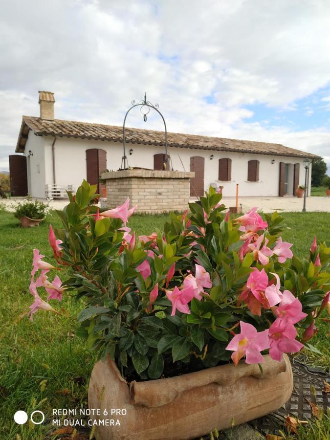 Agriturismo " Le Serre" Spello Dış mekan fotoğraf